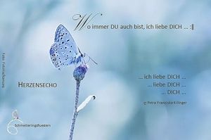 Image chosen by user