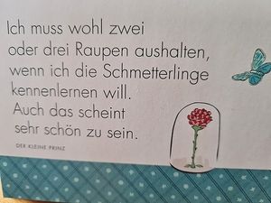 Image chosen by user