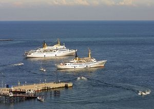 Image chosen by user