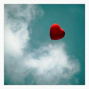 Image chosen by user