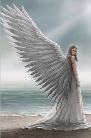 Image chosen by user