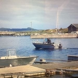 Image chosen by user