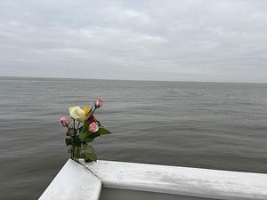 Image chosen by user