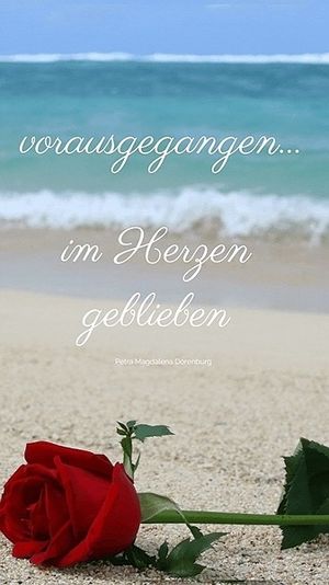 Image chosen by user