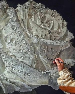 Image chosen by user