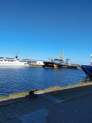 Image chosen by user