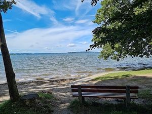 Image chosen by user