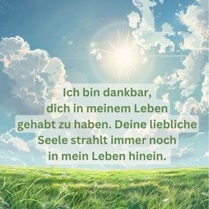 Image chosen by user