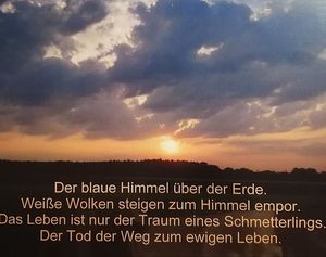 Image chosen by user