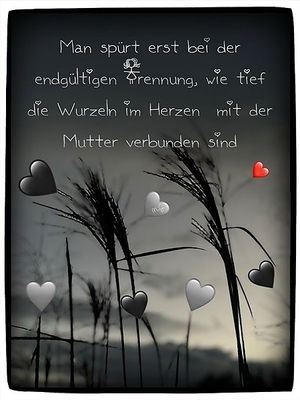 Image chosen by user