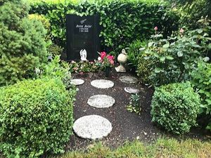 Image chosen by user