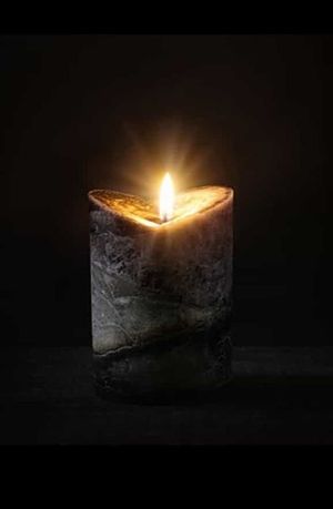 Image chosen by user