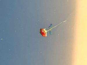 Image chosen by user