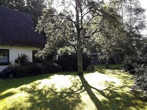 Image chosen by user