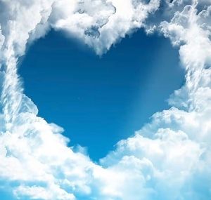 Vom User ausgewähltes Bild