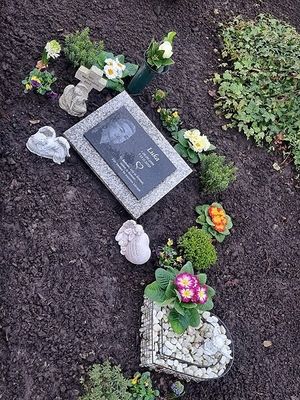 Image chosen by user