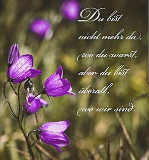 Image chosen by user