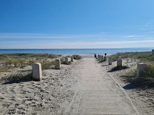 Image chosen by user