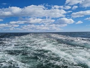 Image chosen by user