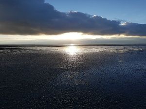 Image chosen by user