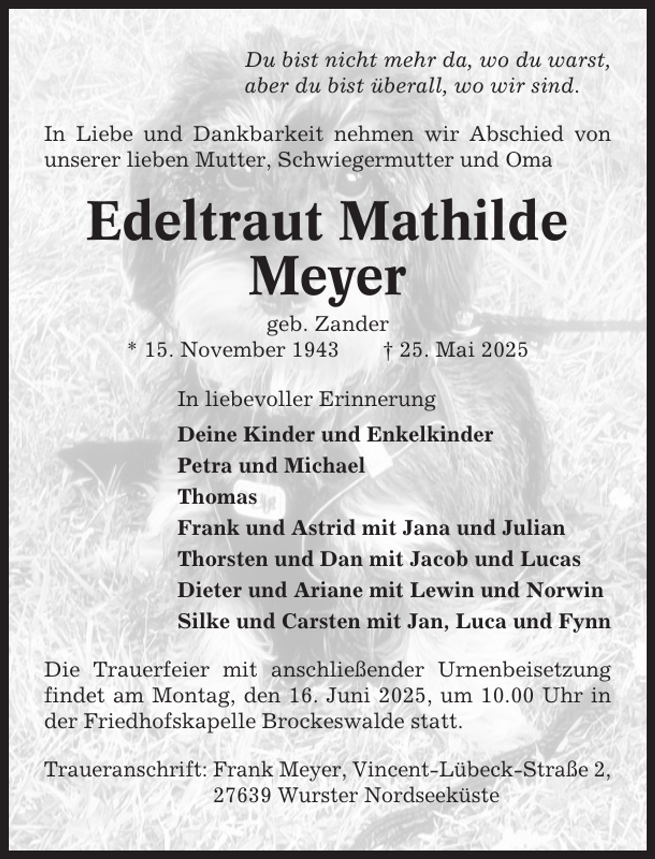 <p>Du bist nicht mehr da, wo du warst,<br />aber du bist überall, wo wir sind.<br />In Liebe und Dankbarkeit nehmen wir Abschied von<br />unserer lieben Mutter, Schwiegermutter und Oma</p><p>Edeltraut Mathilde<br />Meyer<br />geb. Zander<br />* 15. November 1943<br />† 25. Mai 2025<br />In liebevoller Erinnerung<br />Deine Kinder und Enkelkinder<br />Petra und Michael<br />Thomas<br />Frank und Astrid mit Jana und Julian<br />Thorsten und Dan mit Jacob und Lucas<br />Dieter und Ariane mit Lewin und Norwin<br />Silke und Carsten mit Jan, Luca und Fynn<br />Die Trauerfeier mit anschließender Urnenbeisetzung<br />findet am Montag, den 16. Juni 2025, um 10.00 Uhr in<br />der Friedhofskapelle Brockeswalde statt.<br />Traueranschrift: Frank Meyer, Vincent-Lübeck-Straße 2,<br />27639 Wurster Nordseeküste</p>