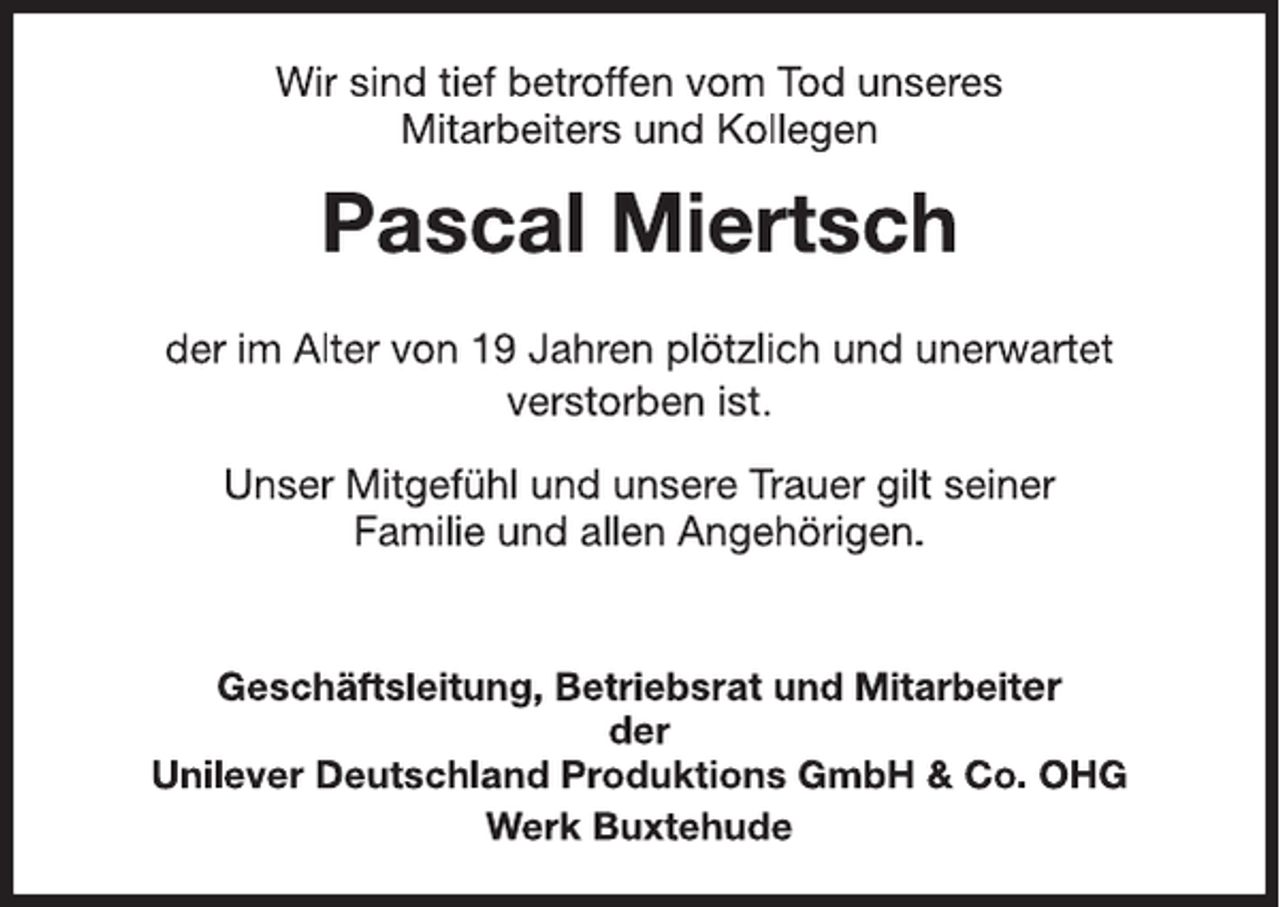<p>---</p>