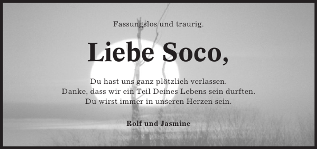 <p>Fassungslos und traurig.</p><p>Liebe Soco,<br />Du hast uns ganz plötzlich verlassen.<br />Danke, dass wir ein Teil Deines Lebens sein durften.<br />Du wirst immer in unseren Herzen sein.<br />Rolf und Jasmine</p>