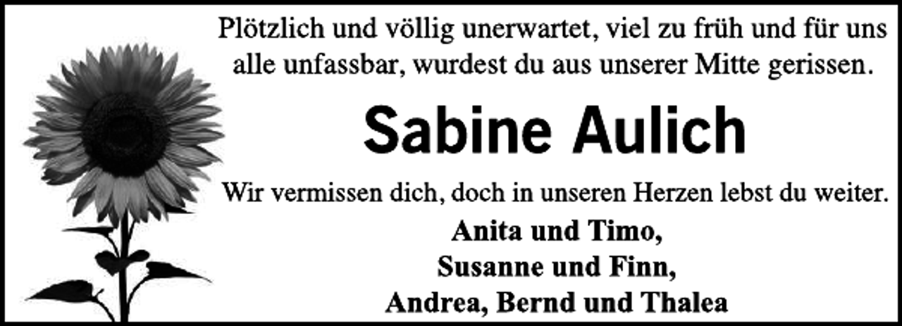 <p>---</p>