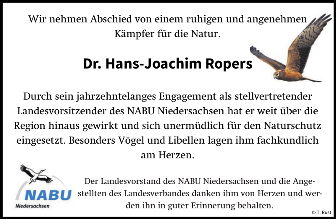 <p>Wir nehmen Abschied von einem ruhigen und angenehmen<br />Kämpfer für die Natur.</p><p>Dr. Hans-Joachim Ropers<br />Durch sein jahrzehntelanges Engagement als stellvertretender<br />Landesvorsitzender des NABU Niedersachsen hat er weit über die<br />Region hinaus gewirkt und sich unermüdlich für den Naturschutz<br />eingesetzt. Besonders Vögel und Libellen lagen ihm fachkundlich<br />am Herzen.<br />Der Landesvorstand des NABU Niedersachsen und die Angestellten des Landesverbandes danken ihm von Herzen und werden ihn in guter Erinnerung behalten.</p><p>© T. Rust</p>