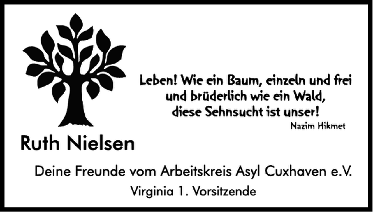 <p>---</p>