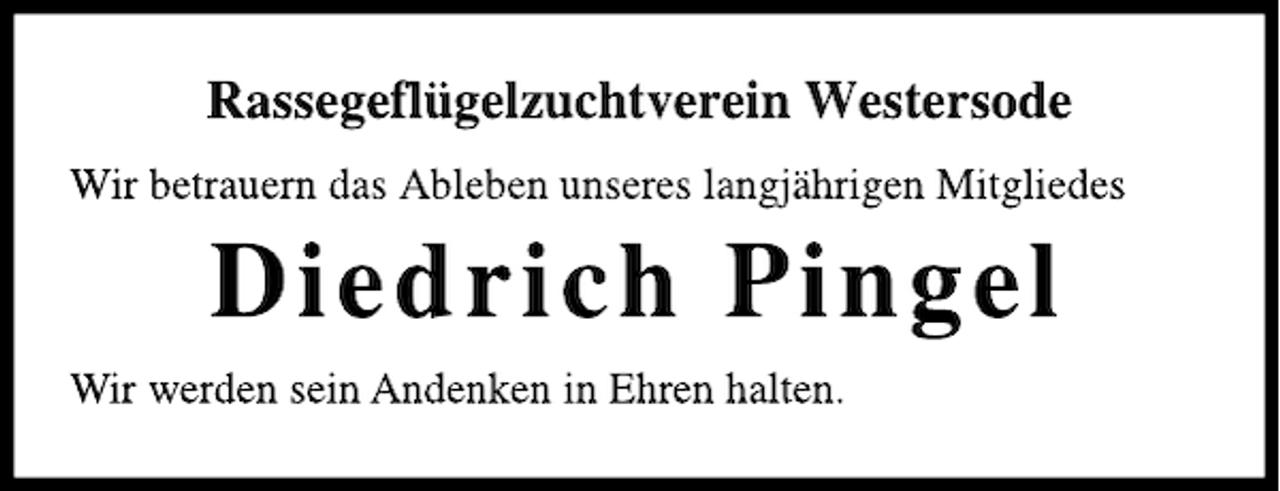<p>---</p>
