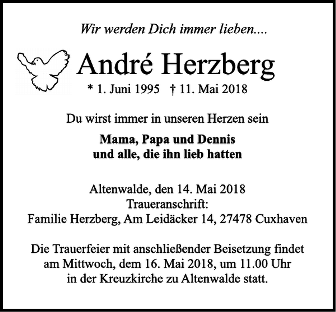 <p>---</p>