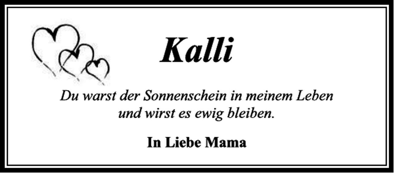 <p>---</p>