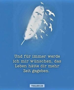 Vom User ausgewähltes Bild