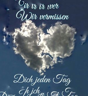 Vom User ausgewähltes Bild