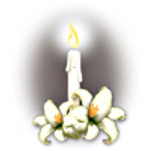 Vom User ausgewähltes Bild