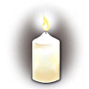 Vom User ausgewähltes Bild