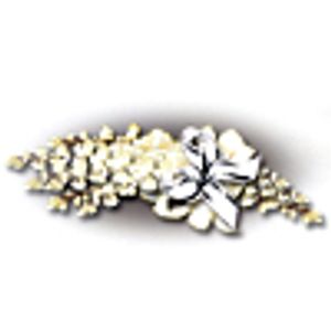 Image chosen by user