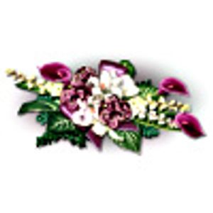 Vom User ausgewähltes Bild