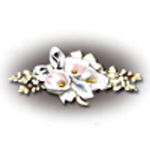 Image chosen by user