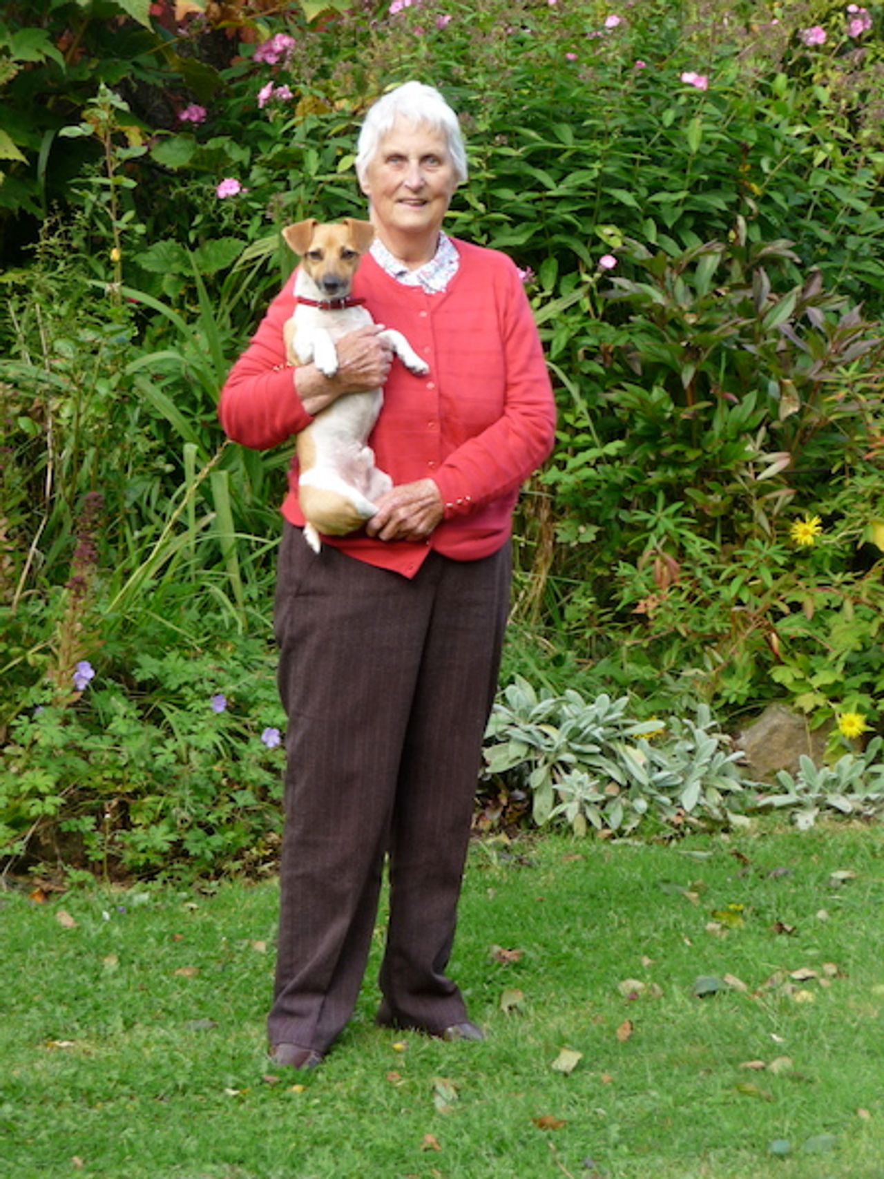 <p>OGLE (née Howard) (Little Dysart) - March 14, 2012 (peacefully) at Roselodge Nursing Home, Killucan. Ruth Mary; aged 85 years. Cherished wife of the late Nicholas Robert. Much loved mother of Bridget, Elizabeth, Frances, Robert, Dorothy and the late Joanna. Sadly missed by her children, sons-in-law, daughter-in-law, grandchildren and great-grandchildren. Removal from Ennis' Funeral Home Killucan at 5.45 o'c today (Friday) arriving to St. Michael's Church, Castlepollard at 6.30 o'clock Funeral Service at 2 o'c tomorrow (Saturday). Burial afterwards in Kilcumney Cemetery.</p>