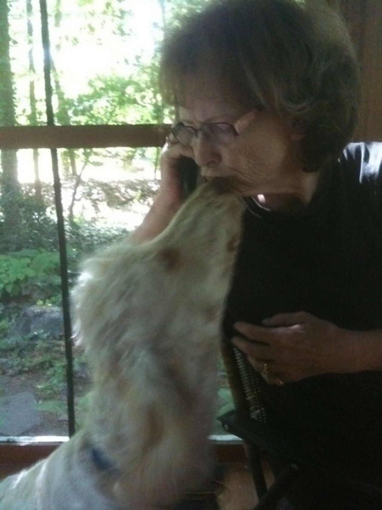 <p>STEPHENSON, (née Murphy), (Boston and Dublin), Dorothy, April 23, 2017, daughter of the late Tom and Dora, predeceased by her brothers Eugene, Pat and Greg. Sadly missed by her daughter Clare, son Gavin, sister Brid McGing (Westport), brother Tom (U.S.A.), nephews, nieces, relatives and a large circle of friends. Rest in Peace.</p>