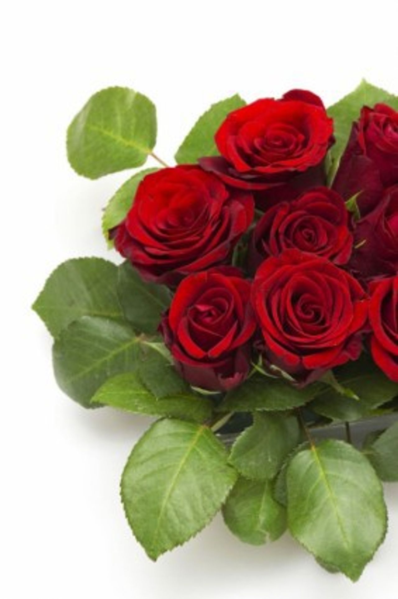 <p>NOLAN, Richard (Dick) (Blackrock, Co. Dublin) - July 1, 2015, (peacefully), at St. Vincent's University Hospital under the excellent medical care of Dr. Horgan and his team. Beloved husband of Phil and loving father of Helena and Frank. Very sadly missed by his loving wife, children, brother Liam, sister Vera (Tandy), son-in-law Richie (Warnock), Frank's fiancée Ros, grandson Daniel, sisters-in-law, brothers-in-law, nieces, nephews, extended family, relatives and friends. May he rest in peace. Removal this (Thursday) evening to the Church of the Guardian Angels, Newtownpark Avenue arriving at 5pm. Funeral tomorrow (Friday) morning after 10 o'c Mass to Dean's Grange Cemetery. All enquiries to Carnegies Funeral Directors, Monkstown. Ph: 01 280 8882.</p>