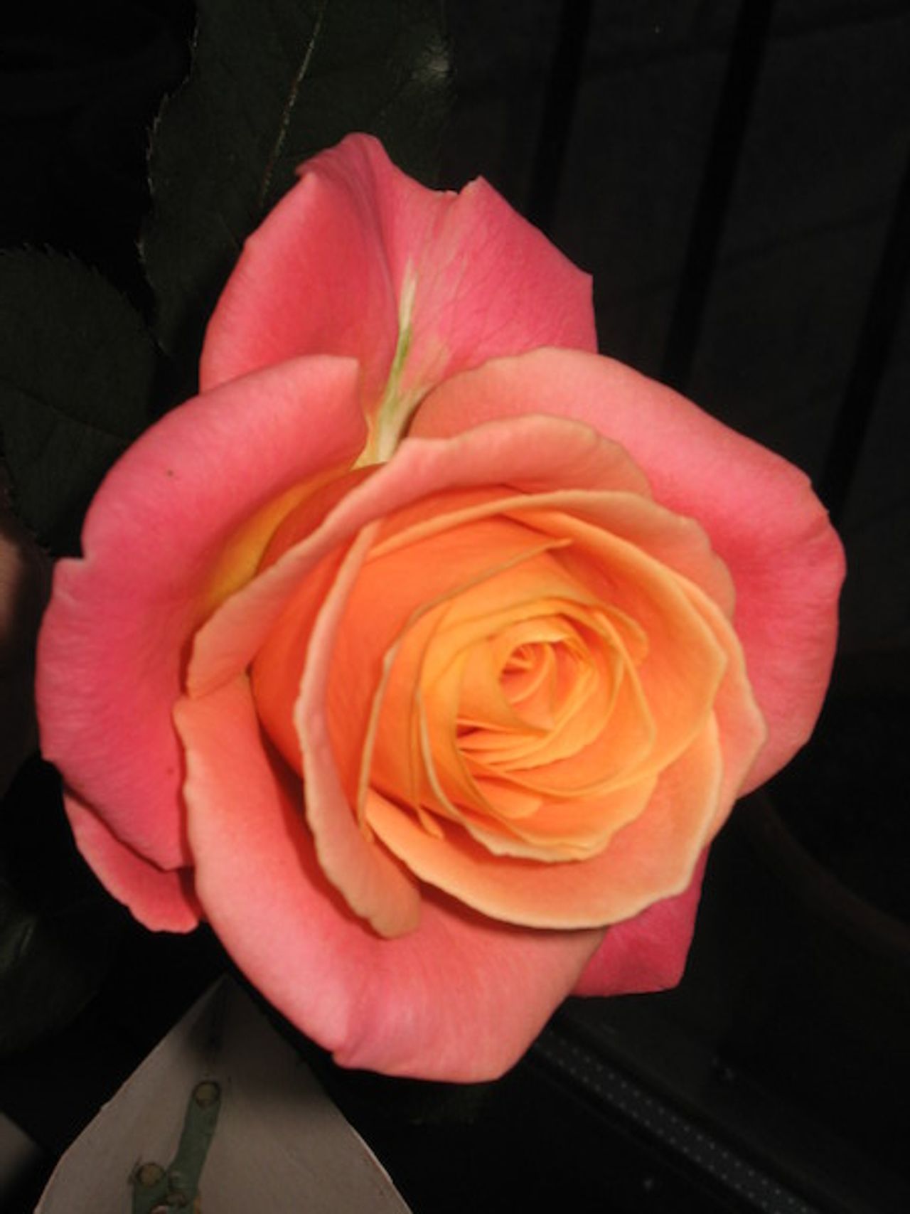 <p>RICHARDS, June (late of Coburg, Bray) - May 27, 2012, (peacefully) in the tender care of the staff of Bray Manor Nursing Home; fondly remembered by relatives and friends. Funeral Service on Thursday (May 31) at 10 o'clock, in Mount Jerome Garden Chapel, Harold's Cross.</p>