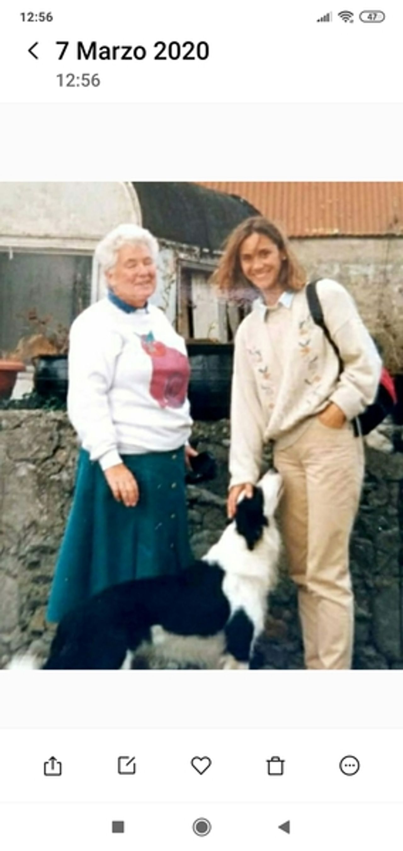 <p>AMBROSE, (née Rooney), Geraldine (Gerry), (Terenure, Dublin and late of Enniskillen, Co Fermanagh), January 23, 2020, (peacefully) at Lucan Lodge Nursing Home. Predeceased by her loving husband, Patrick (Paddy). She will be very sadly missed by her loving family; sons Stephen and Gerard, brother-in-law, sisters-in-law, extended family, neighbours and friends. Rest in peace. Reposing today (Monday) in Fanagans Funeral Home, 54 Aungier Street from 3.30 o’clock to 5.30 o’clock. Removal tomorrow (Tuesday ) to the Church of St Joseph, Terenure, for Funeral Mass at 10 o’clock followed by burial at Deans Grange Cemetery.</p>