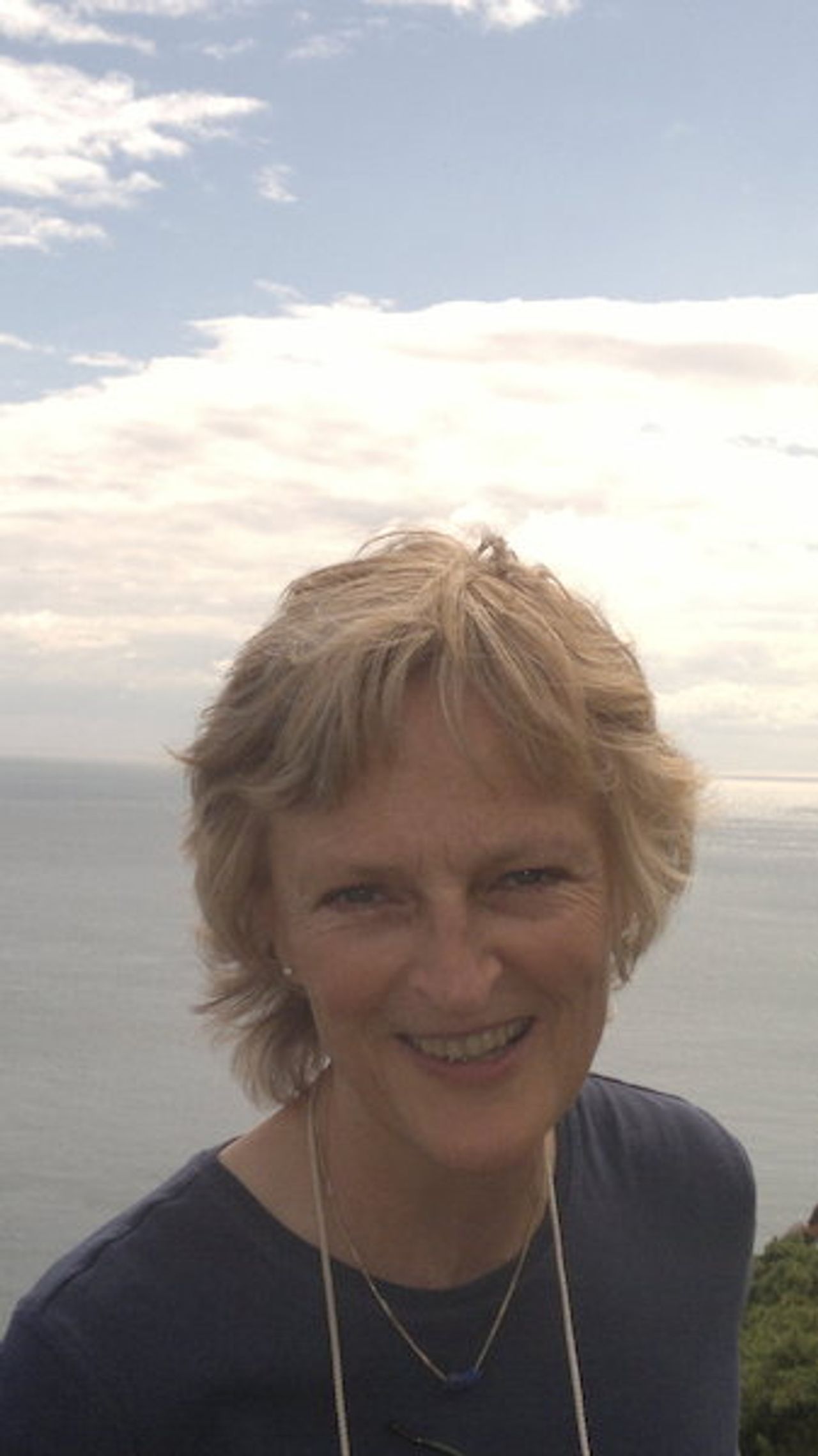 <p>O'TOOLE Helen (1956-2013) Vancouver, Canada and formerly Coliemore Road, Dalkey - March 22, 2013, peacefully at home in Vancouver, Canada after a long illness bravely borne. She will be greatly missed by her brothers Paul, Shane and Fiacre; her sisters-in-law Jean, Danielle and Mary (wife of her late brother Dernán) and by her nieces and nephews. Her ashes will be spread by her loyal friends in Vancouver.</p>