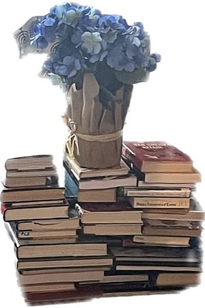 Image chosen by user