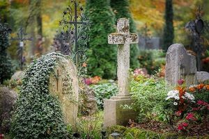 Image chosen by user