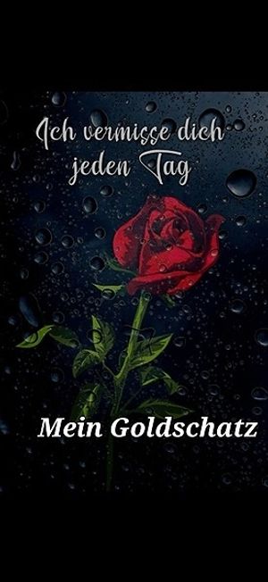 Vom User ausgewähltes Bild