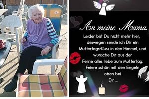 Vom User ausgewähltes Bild